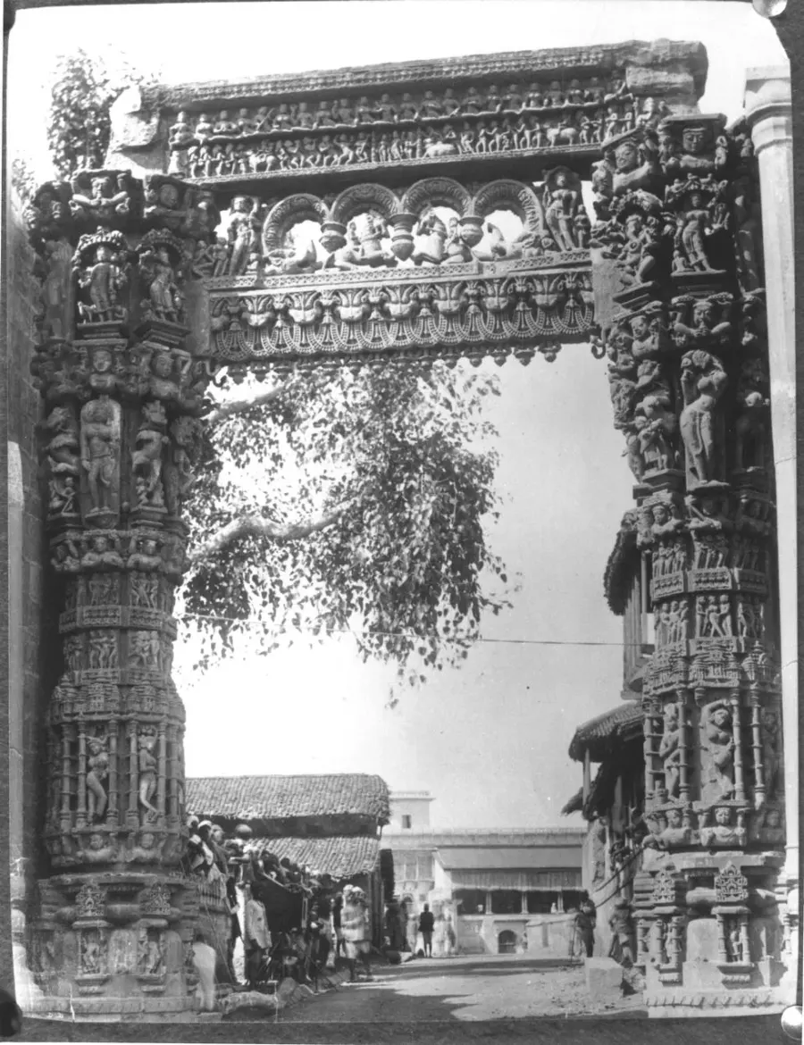 The Rewa, Madhya Pradesh card