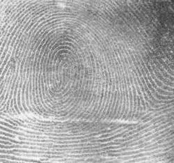 La carte Incidence des Experts