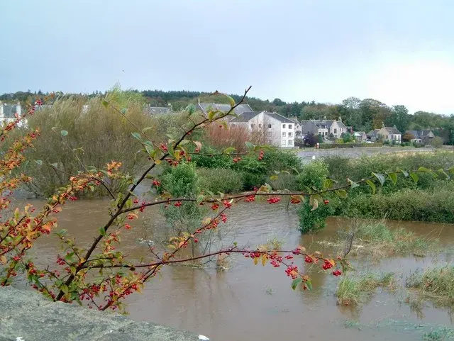 The Ellon, Aberdeenshire card