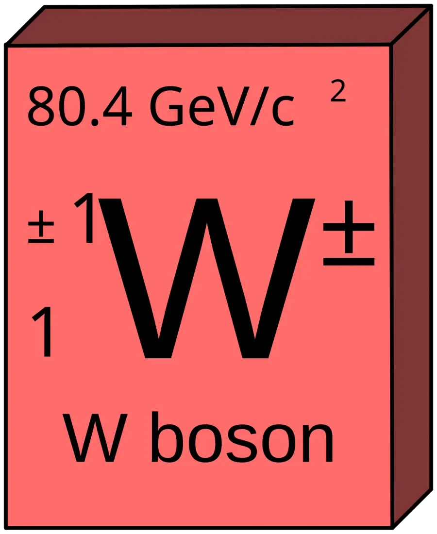 The W boson card
