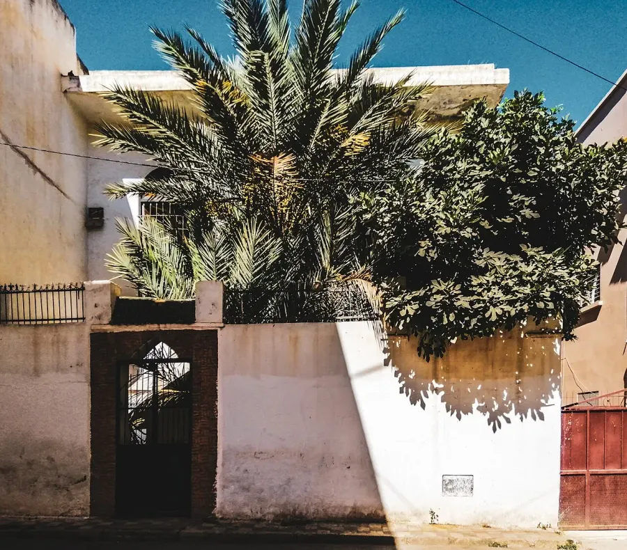 La carte Synagogue Rabbi Meir Toledano de Meknes