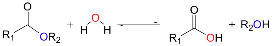 The Hydrolysis card