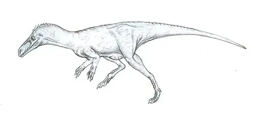 La carte Teyuwasu