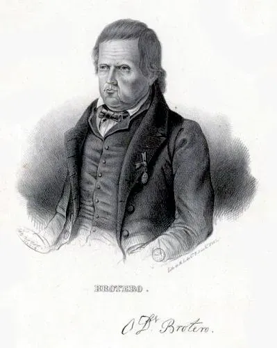 The Félix de Avelar Brotero card