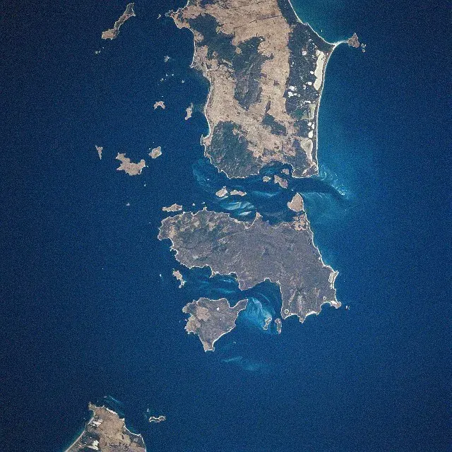 The Cape Barren Island card