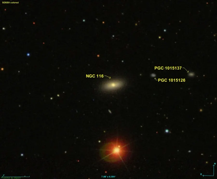 La carte NGC 116