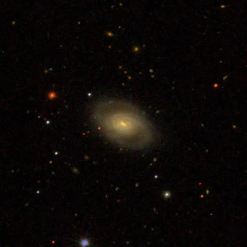 The NGC 195 card