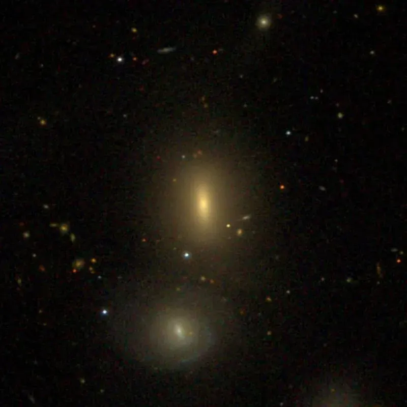 La carte NGC 196