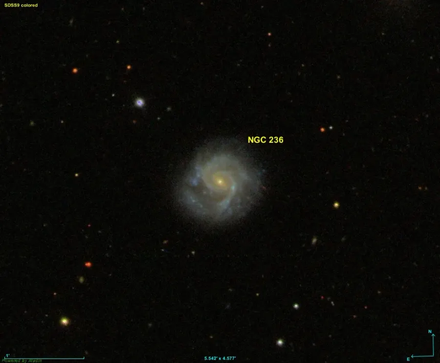 La carte NGC 236