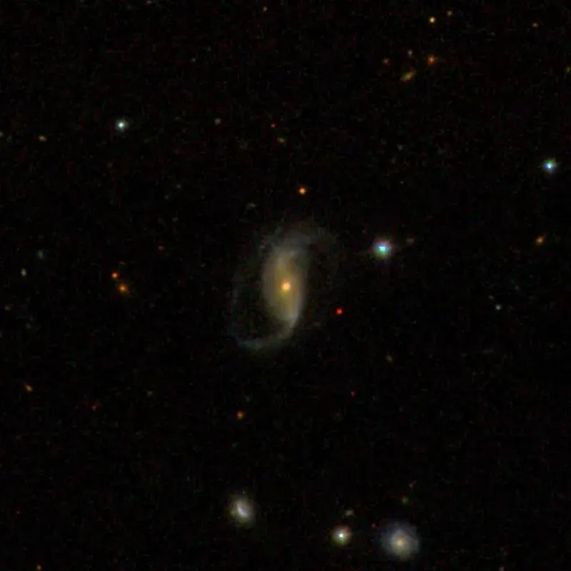 La carte NGC 305