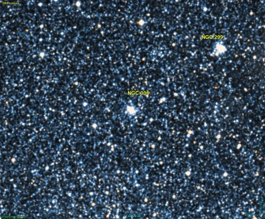 The NGC 306 card