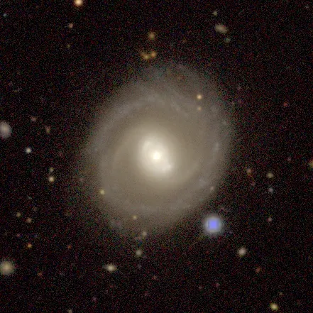 La carte NGC 319