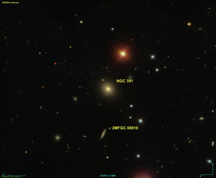 The NGC 391 card