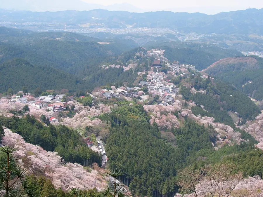 La carte Mont Yoshino