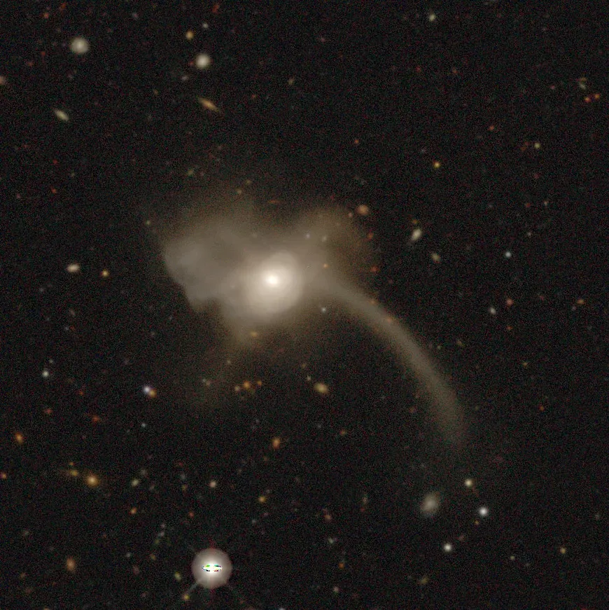 La carte NGC 655