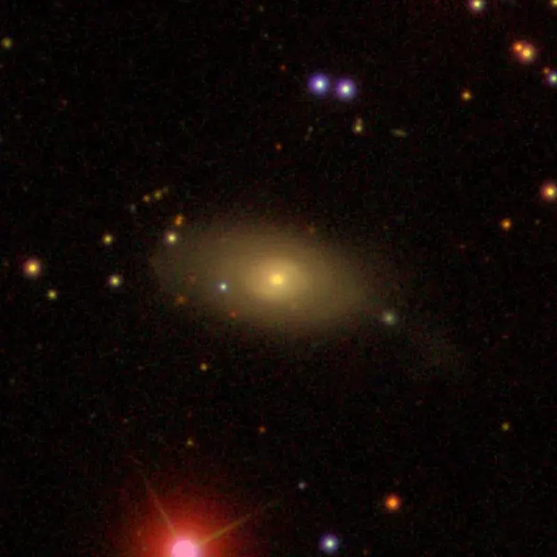 La carte NGC 785