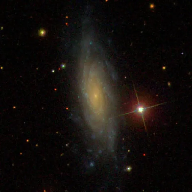 La carte NGC 803