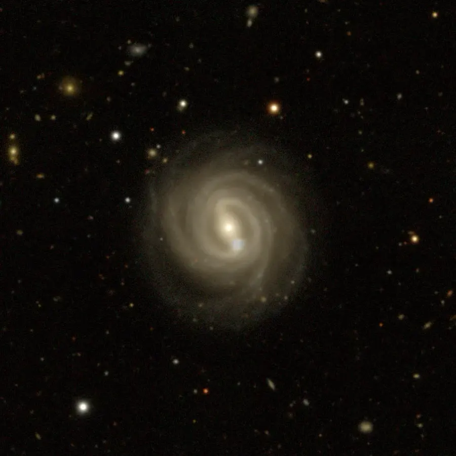 La carte NGC 824
