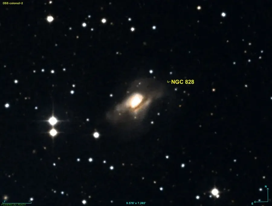 The NGC 828 card