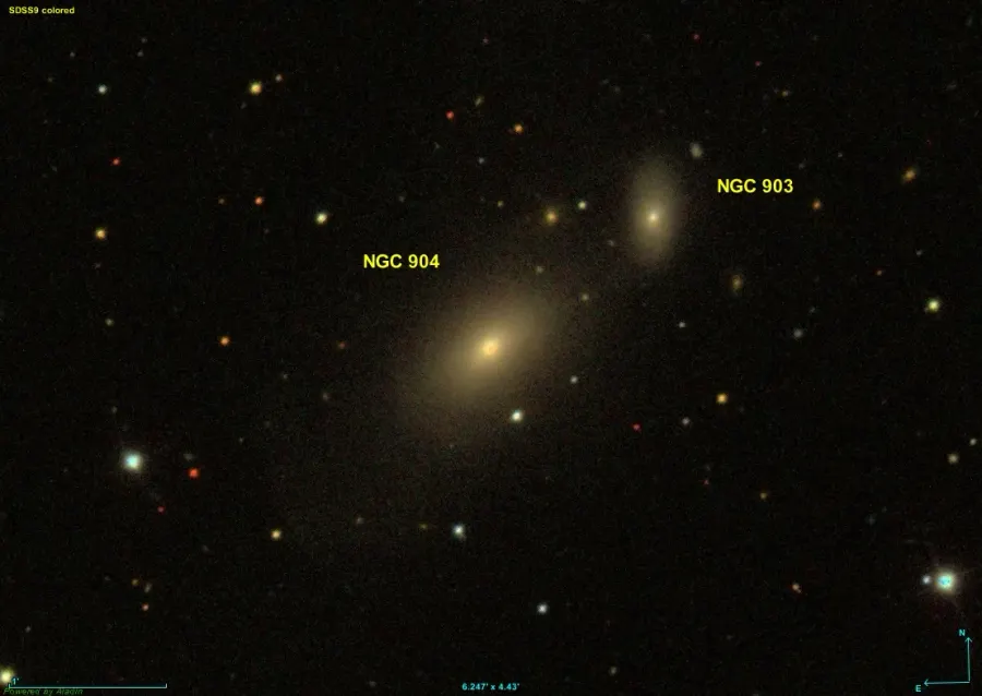La carte NGC 904
