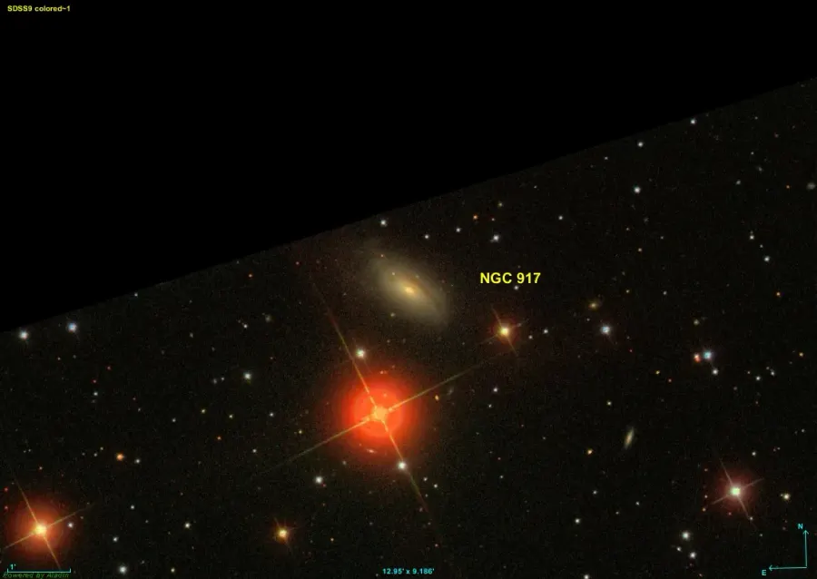 La carte NGC 917