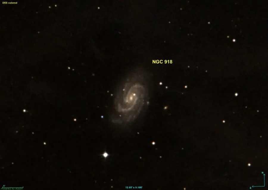 The NGC 918 card