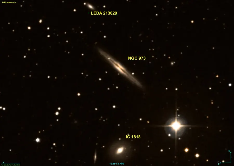 The NGC 973 card