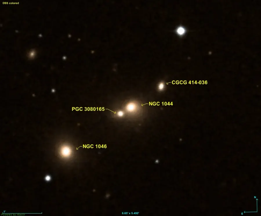 The NGC 1044 card