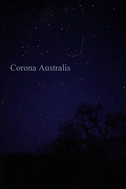 The Corona Australis card