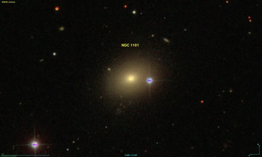 The NGC 1101 card