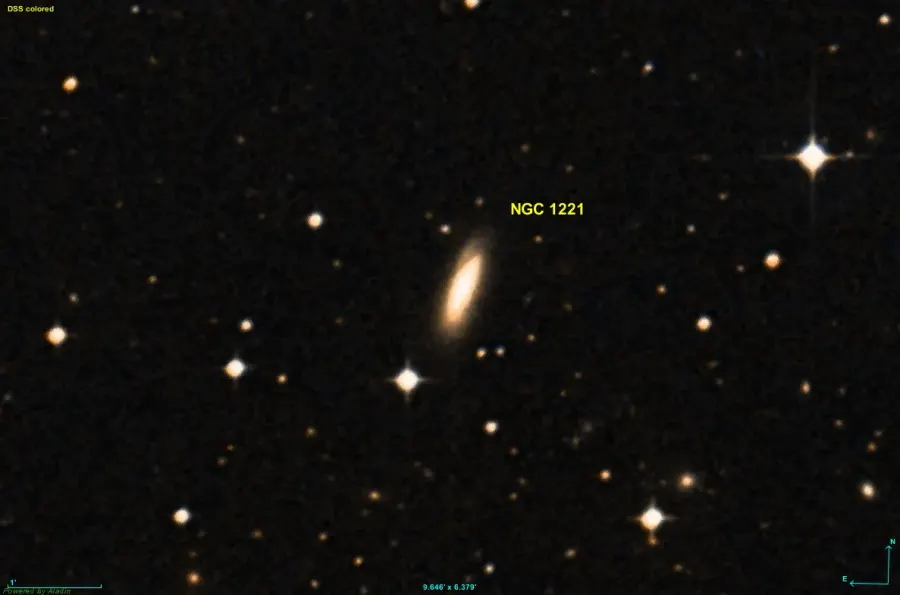 The NGC 1221 card