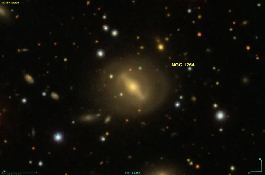 The NGC 1264 card