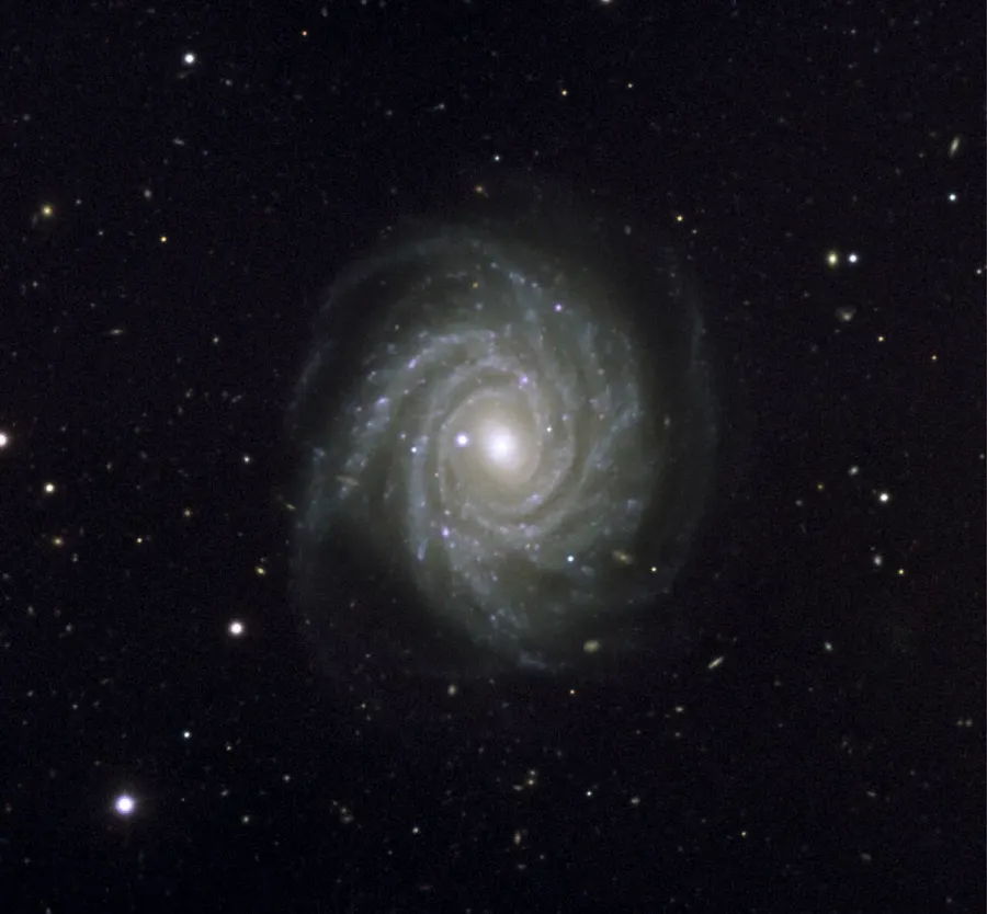 The NGC 1288 card