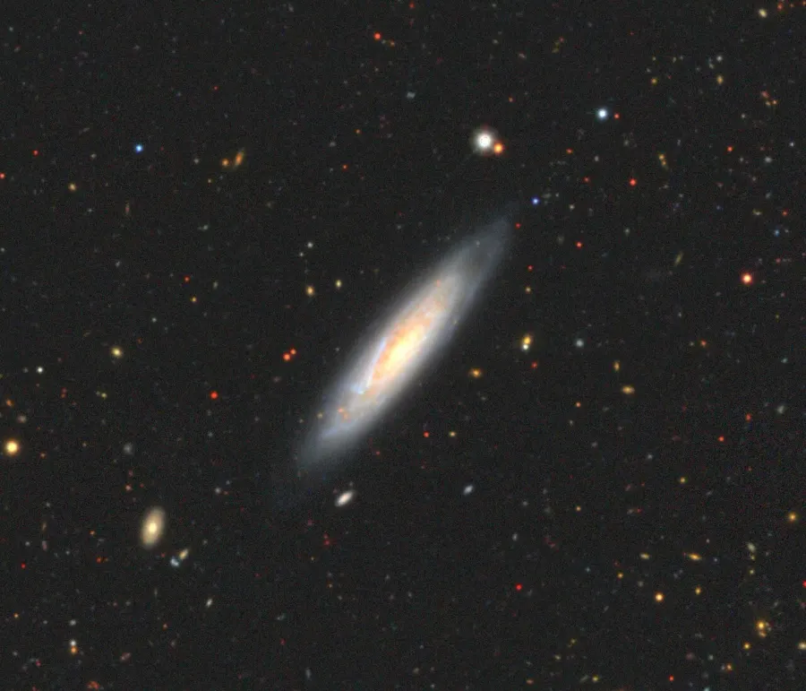 The NGC 1301 card