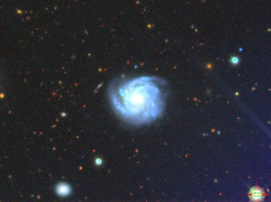The NGC 1363 card