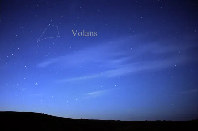 The Volans card