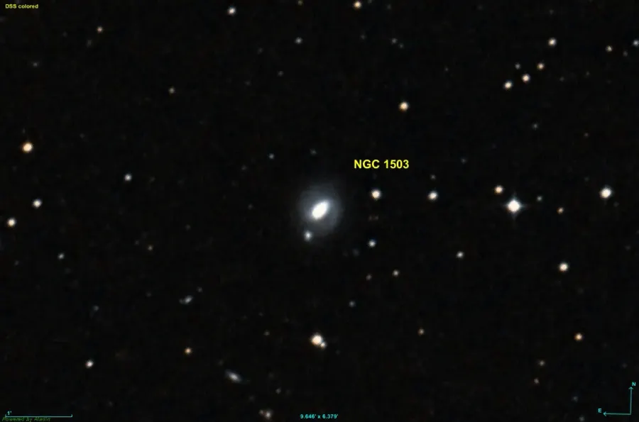 The NGC 1503 card
