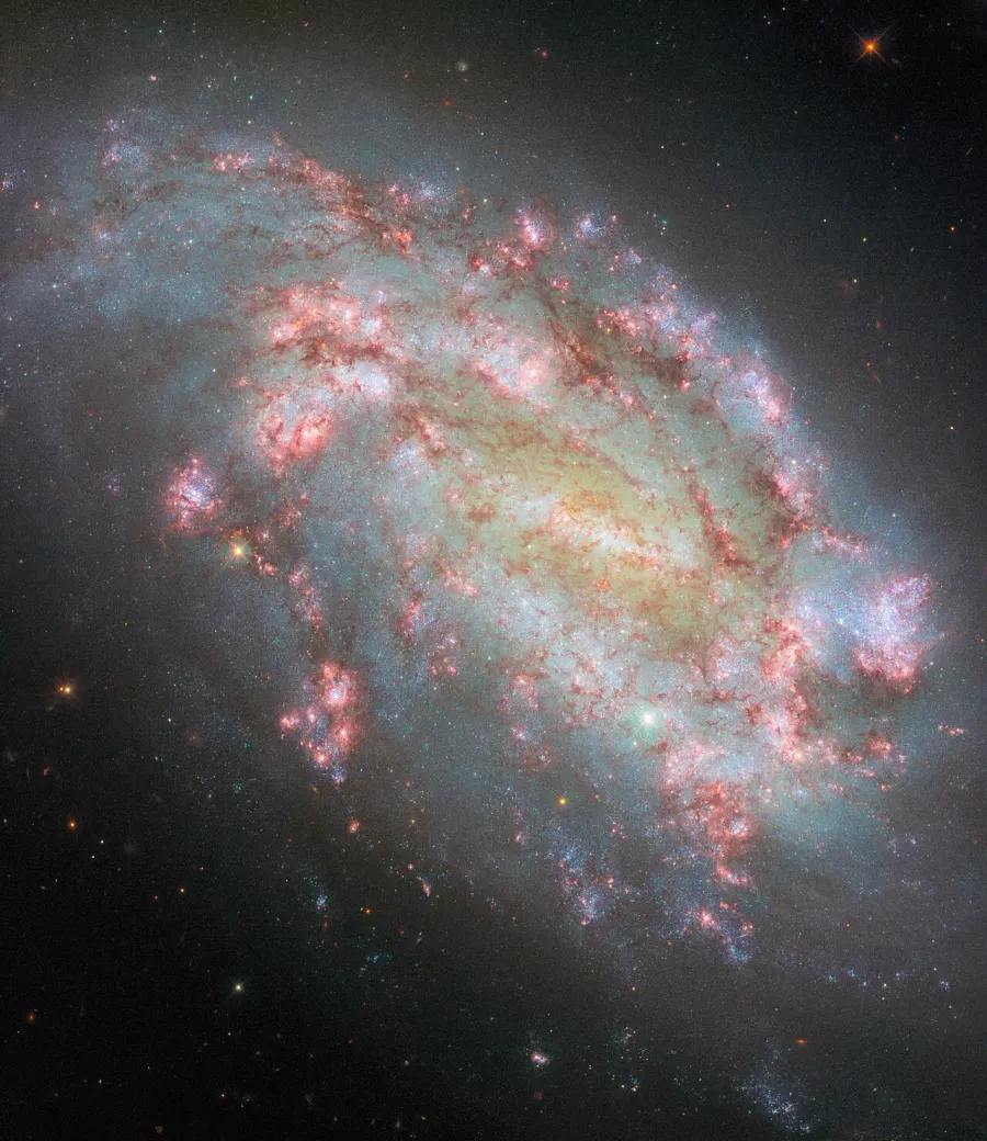 The NGC 1559 card