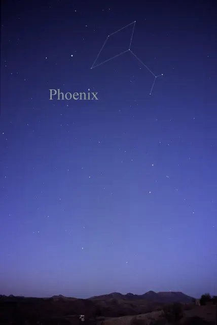 The Phoenix card