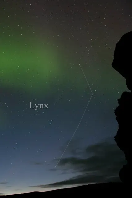 La carte Lynx