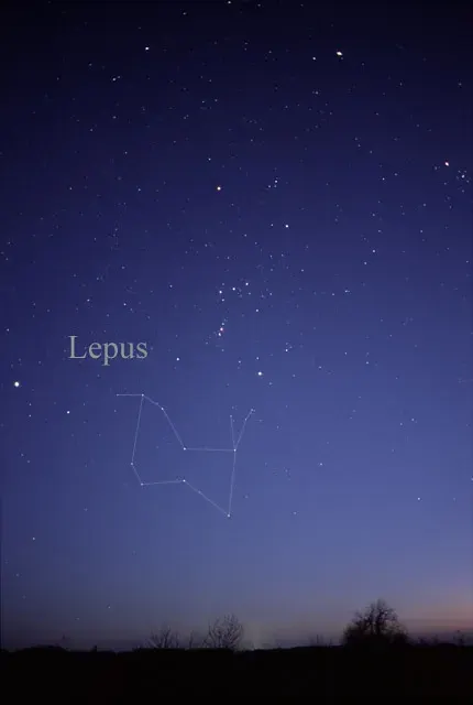 The Lepus card