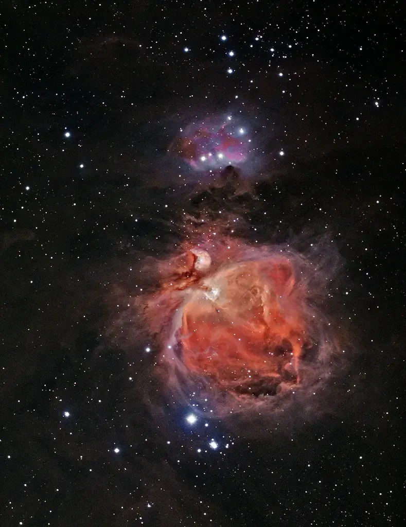 The NGC 1981 card
