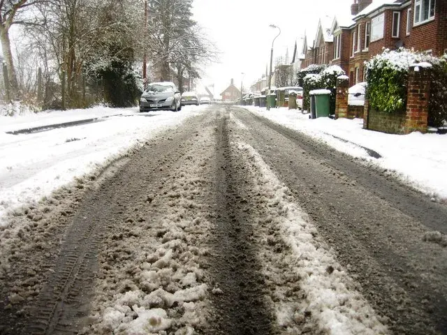 The Slush card