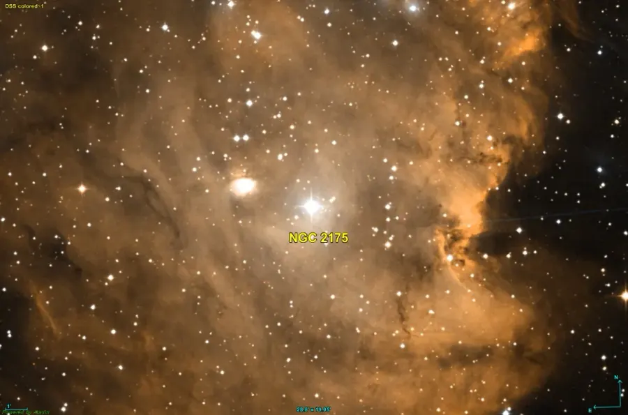 La carte NGC 2175