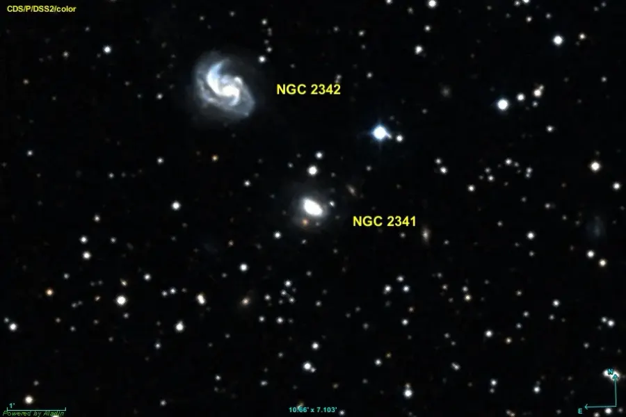 La carte NGC 2341