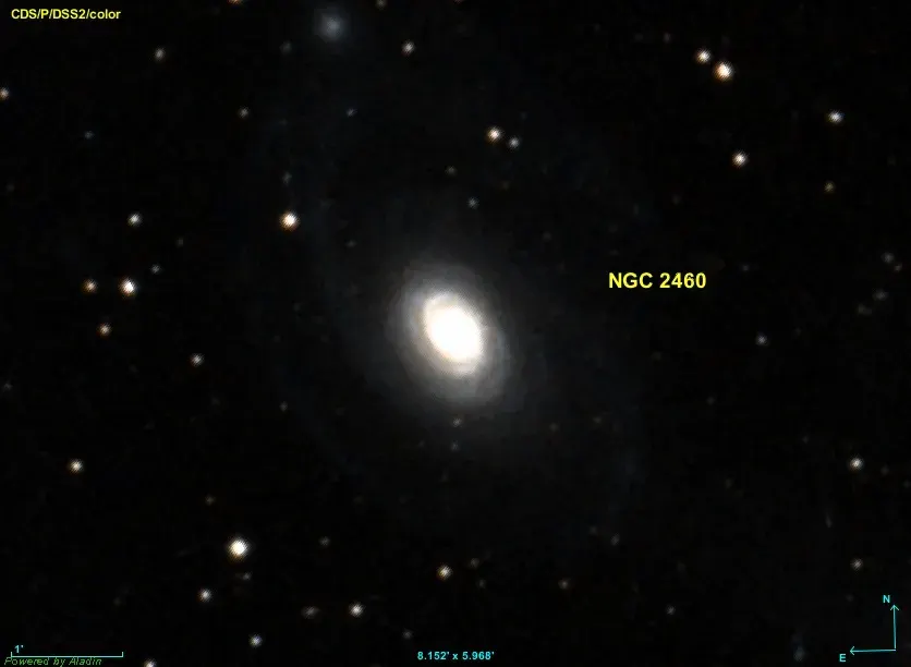 The NGC 2460 card