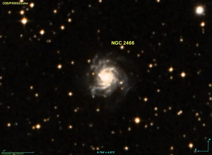 The NGC 2466 card