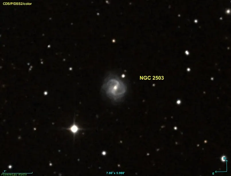 La carte NGC 2503