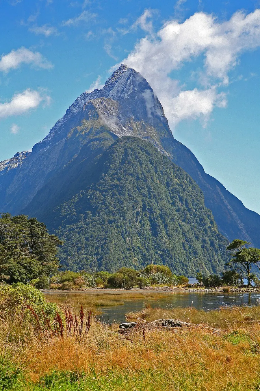 The Mitre Peak card