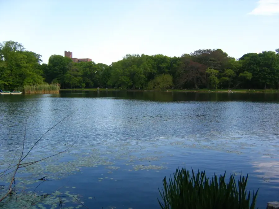 La carte Prospect Park
